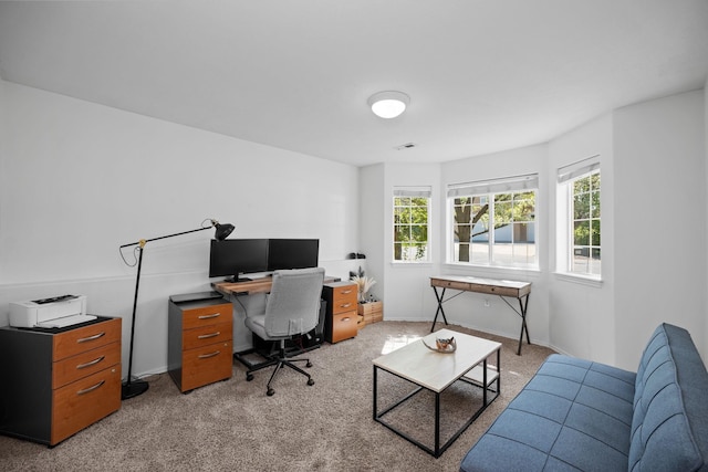 office area featuring a wealth of natural light, light carpet, and baseboards