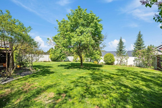 view of yard featuring a fenced backyard