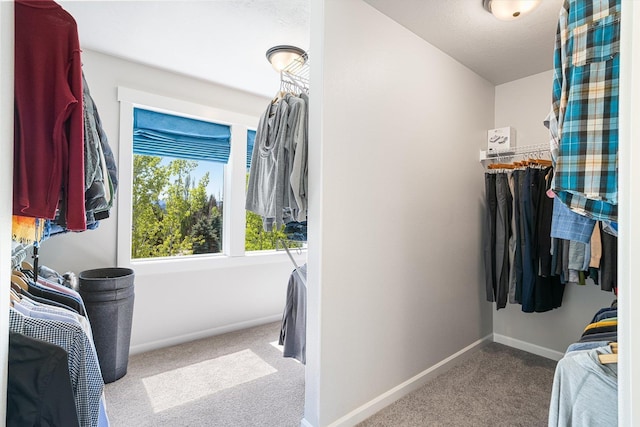 spacious closet featuring carpet floors