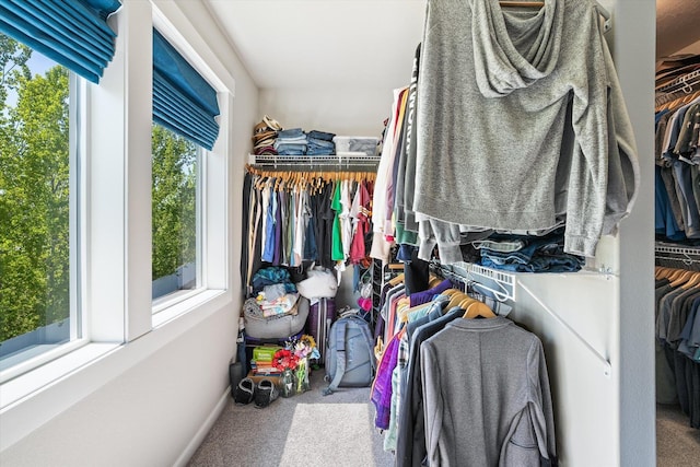 walk in closet with carpet