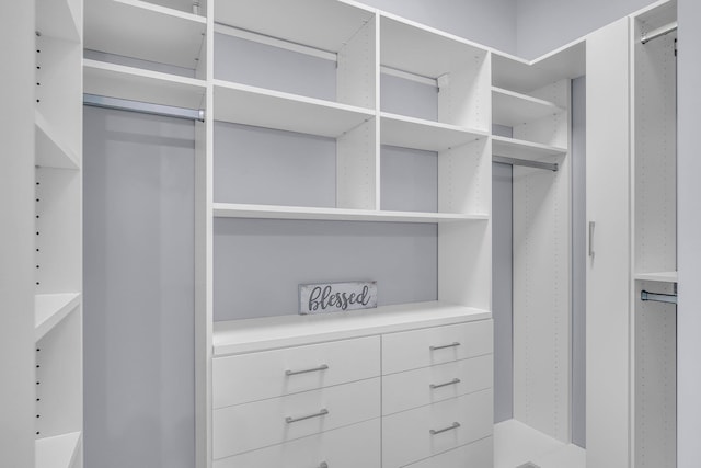 21724 N Perry Rd, Colbert, WA 99005 - view of walk in closet