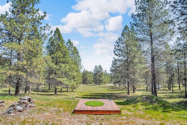 21724 N Perry Rd, Colbert, WA 99005 - view of community