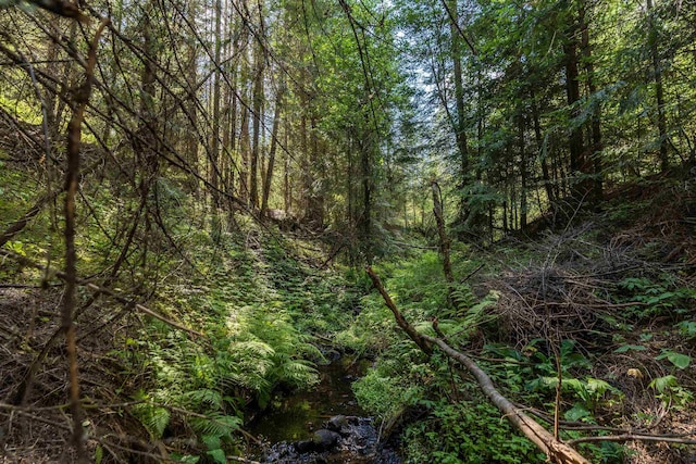 view of nature with a view of trees