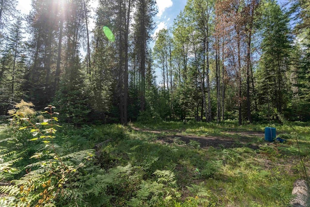 view of nature featuring a forest view