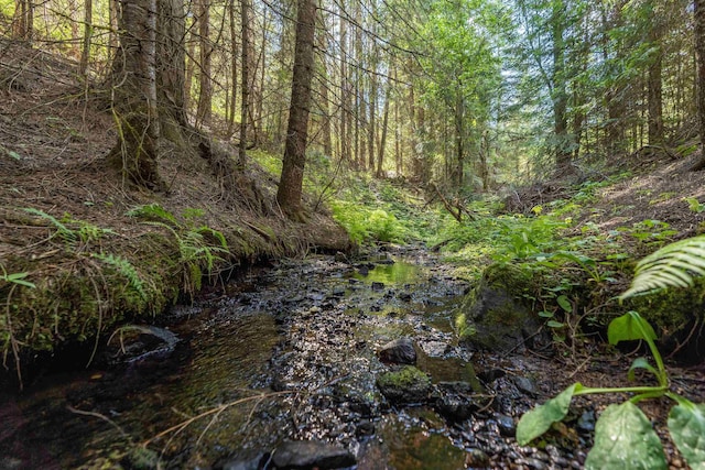 view of local wilderness with a view of trees