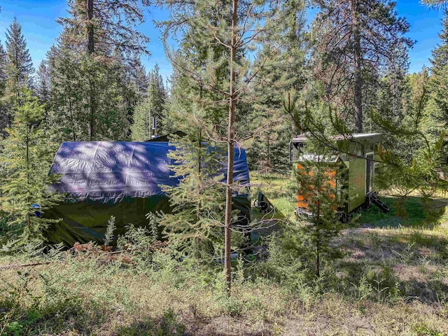 view of yard featuring a forest view and an outdoor structure
