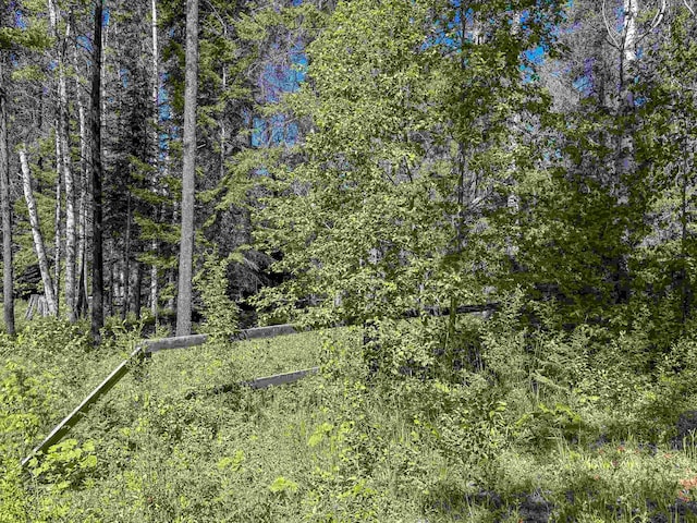 view of nature featuring a view of trees