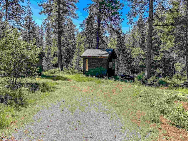 view of yard with a storage shed, an outbuilding, and a forest view