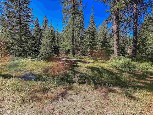 view of nature featuring a forest view