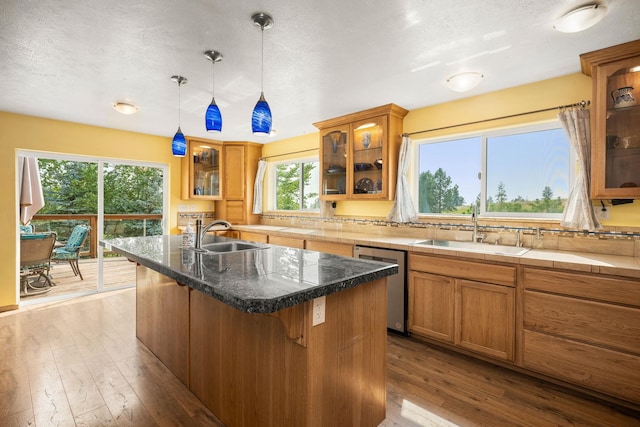kitchen with dark wood-style flooring, a center island with sink, a sink, and stainless steel dishwasher