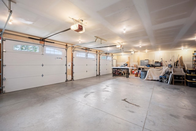 garage with a garage door opener