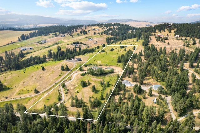 16717 E Washington Rd, Valleyford, WA 99036 - overview of rural landscape featuring property boundaries highlighted and mountains