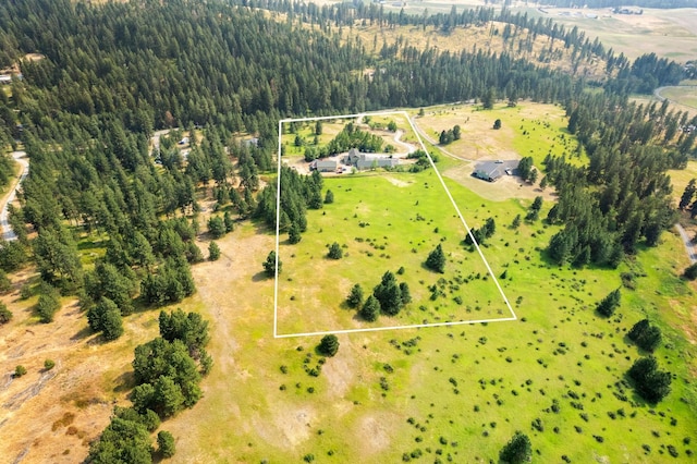 bird's eye view with a wooded view
