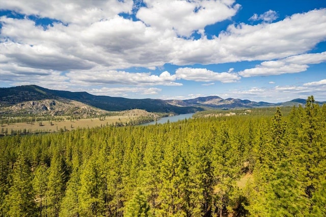 0 N Mathias Ln, Nine Mile Falls, WA 99026