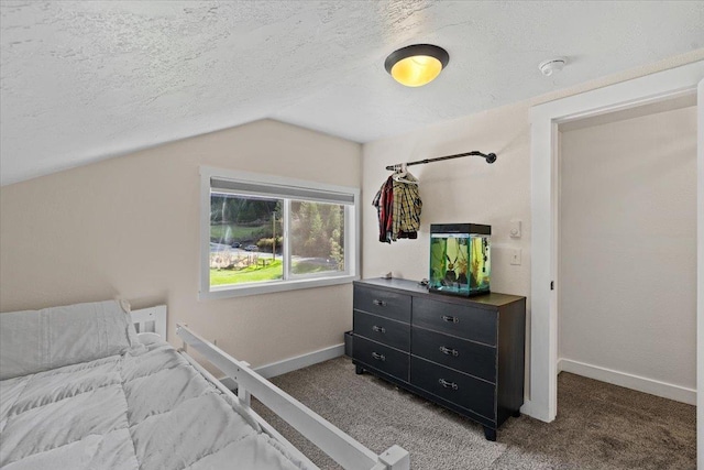 16825 N Day Mt Spokane Rd, Greenbluff, WA 99021 - photo 26