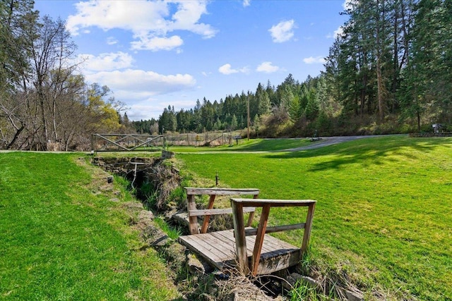 16825 N Day Mt Spokane Rd, Greenbluff, WA 99021 - photo 42