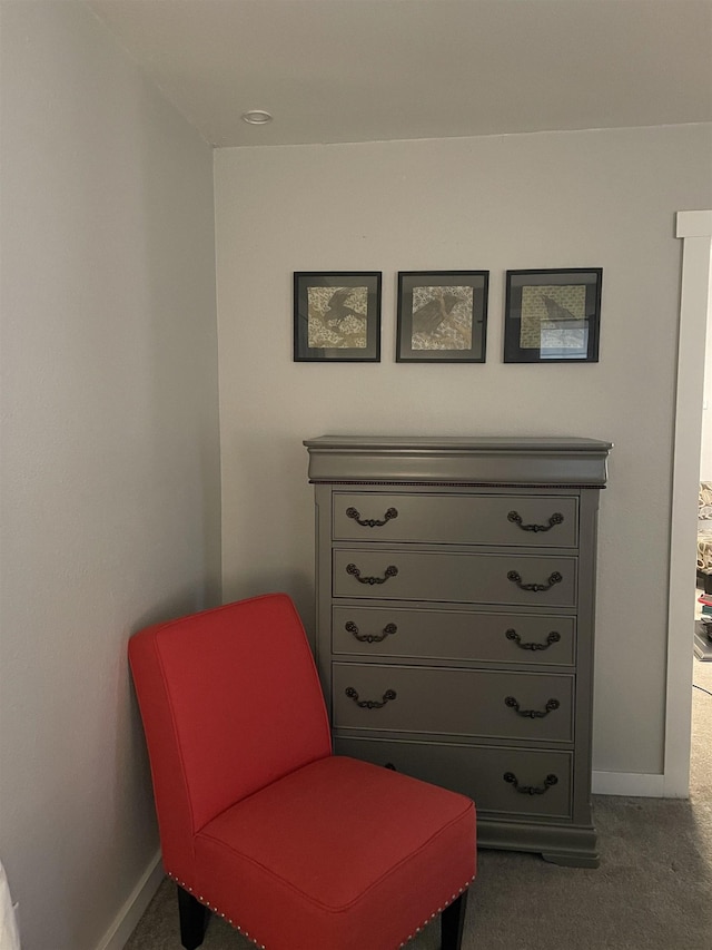 living area featuring baseboards and carpet flooring
