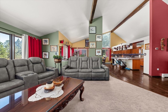 406 N Northridge Way, Fairfield, WA 99012 - living area with dark wood-style flooring, dark carpet, and vaulted ceiling with beams