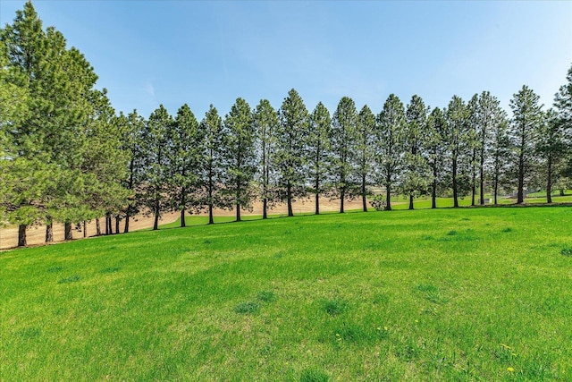 406 N Northridge Way, Fairfield, WA 99012 - view of yard