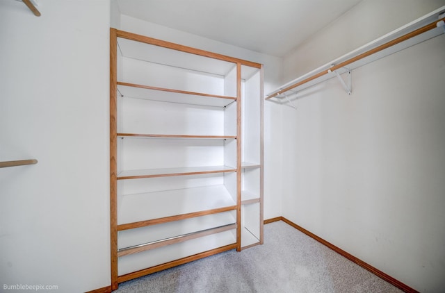 2712 W Eden Ln, Deer Park, WA 99006 - walk in closet with carpet