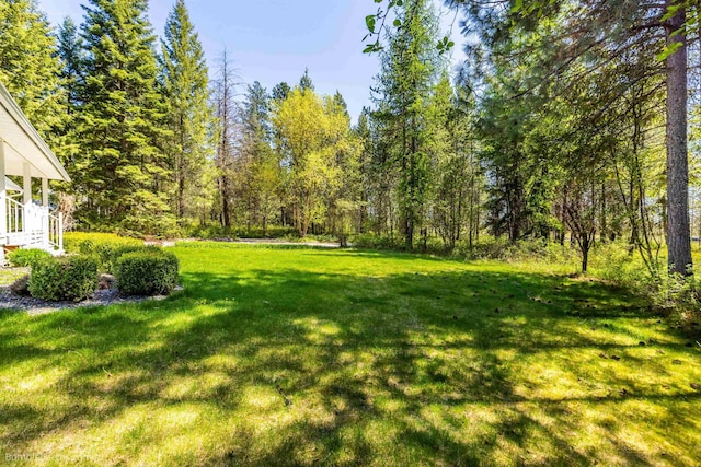 2712 W Eden Ln, Deer Park, WA 99006 - view of yard
