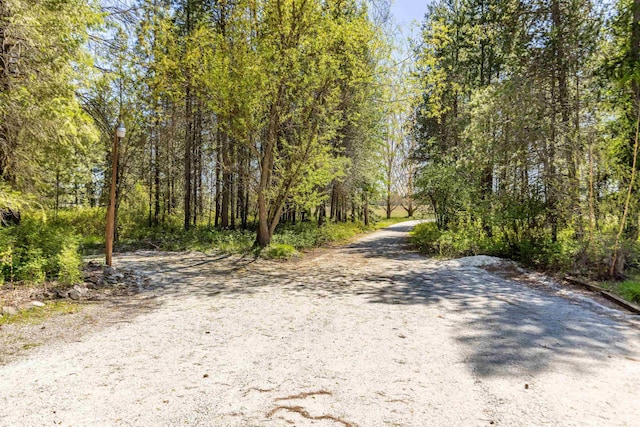 2712 W Eden Ln, Deer Park, WA 99006 - view of street with a wooded view