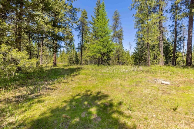 2712 W Eden Ln, Deer Park, WA 99006 - view of nature with a view of trees