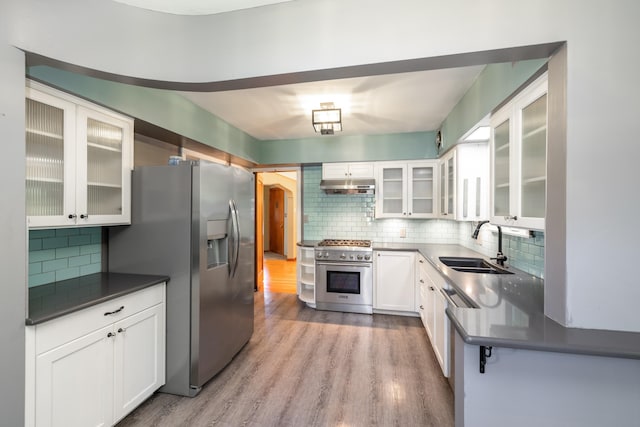 kitchen featuring a sink, stainless steel appliances, tasteful backsplash, light wood-type flooring, and under cabinet range hood
