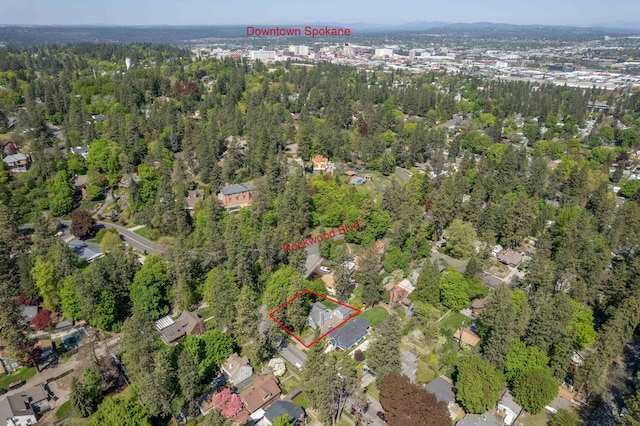 drone / aerial view