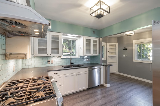 kitchen with extractor fan, stainless steel appliances, tasteful backsplash, and a sink