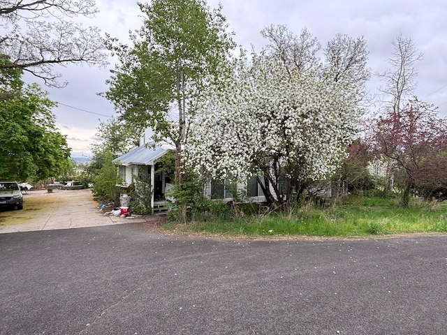 view of front of property featuring metal roof