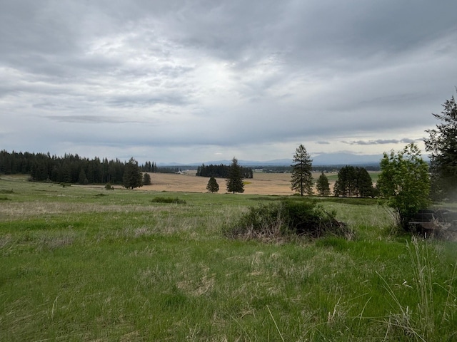 view of nature featuring a rural view