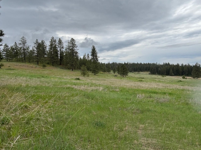 view of landscape with a rural view and a view of trees