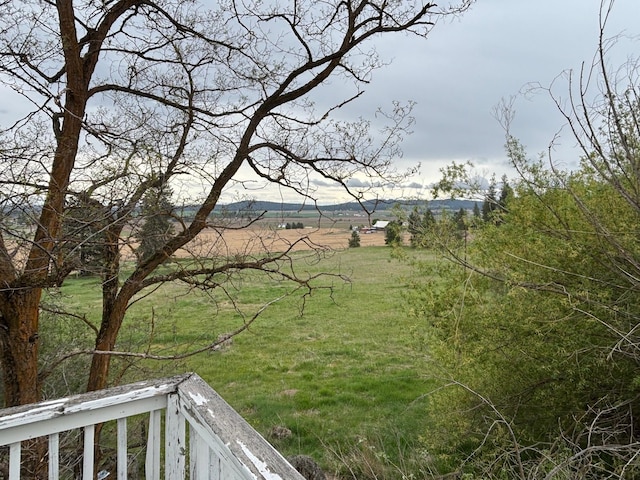 view of yard with a rural view