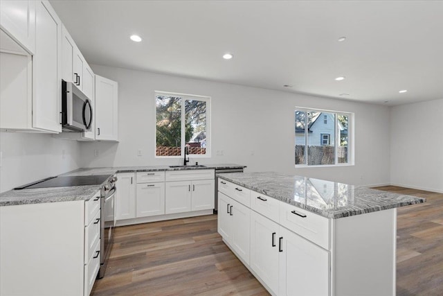 kitchen with a wealth of natural light, light wood finished floors, stainless steel appliances, and a sink