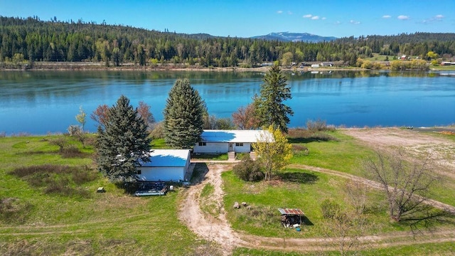 bird's eye view with a view of trees and a water and mountain view