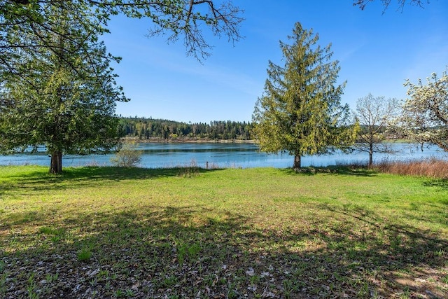 property view of water with a view of trees