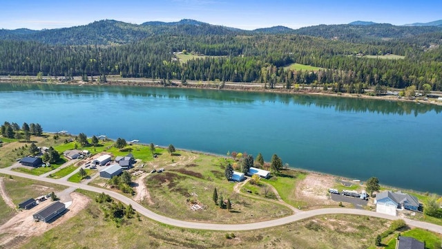 bird's eye view with a water and mountain view and a view of trees