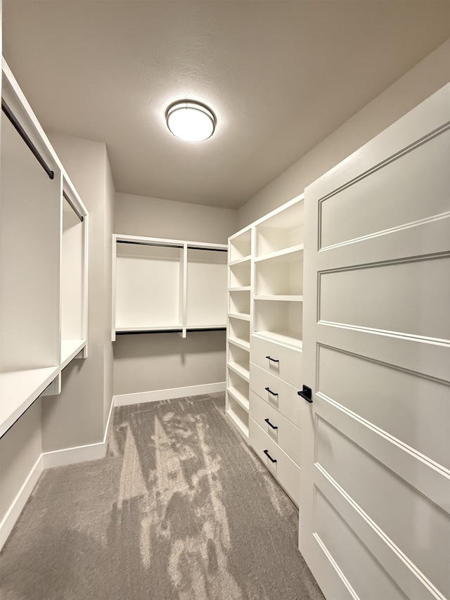 spacious closet featuring carpet flooring