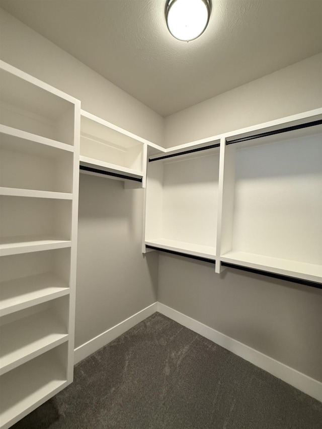 spacious closet with dark carpet