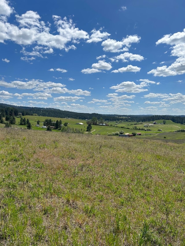 11707 E Tallman Rd, Chattaroy, WA 99003