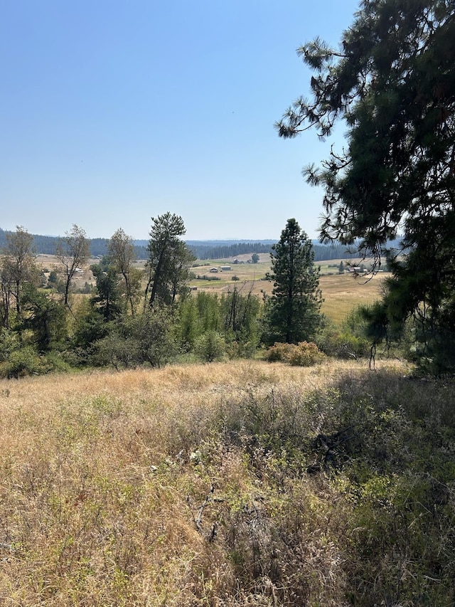 11707 E Tallman Rd, Chattaroy, WA 99003