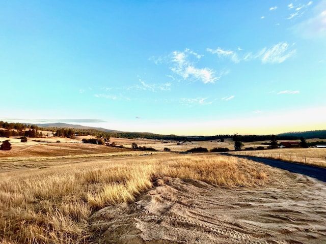 11707 E Tallman Rd, Chattaroy, WA 99003