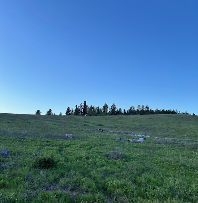 11707 E Tallman Rd, Chattaroy, WA 99003