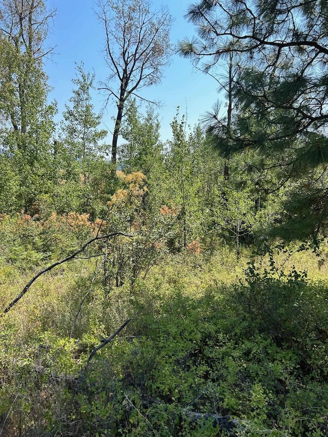 11707 E Tallman Rd, Chattaroy, WA 99003