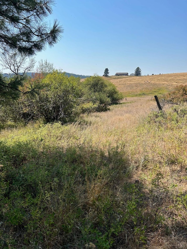 11707 E Tallman Rd, Chattaroy, WA 99003