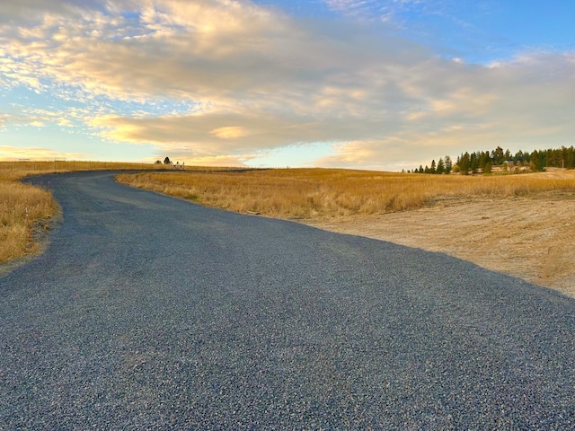11707 E Tallman Rd, Chattaroy, WA 99003