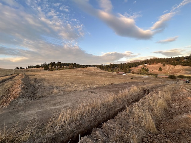 11707 E Tallman Rd, Chattaroy, WA 99003