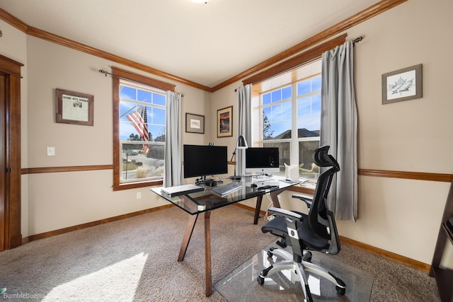 office space featuring crown molding, baseboards, and carpet flooring