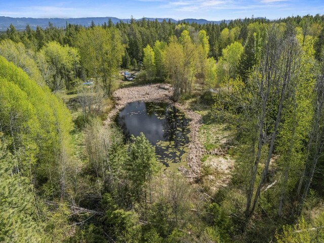 4395B Hesseltine Rd, Valley, WA 99181 - photo 2